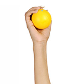 Exercise Ball Exercise Ball