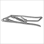 Rod Clam, Long Rod Clam, Long