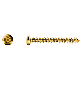 Self Tapping Cortex Screw, 2.0 mm Star Head