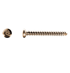 Self Tapping Cortex Screw, 2.7 mm Star Head